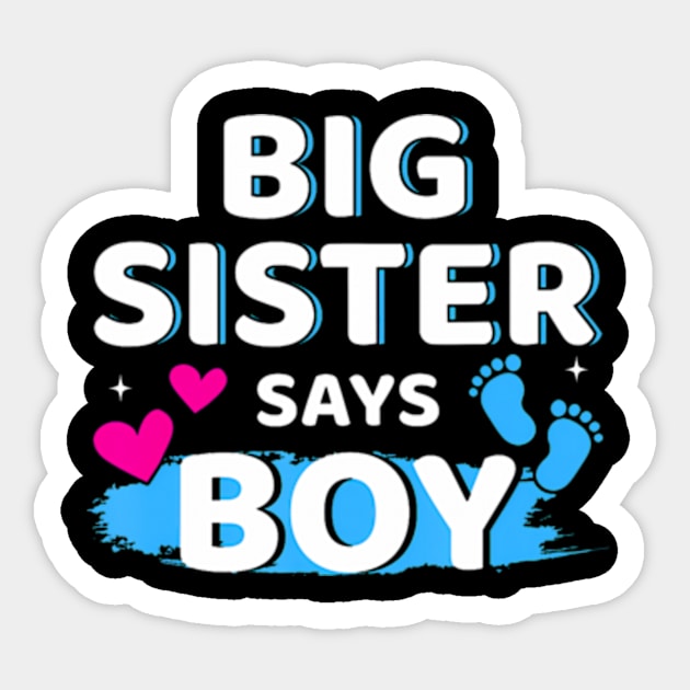 Gender reveal sister says boy matching family baby party Sticker by Eduardo